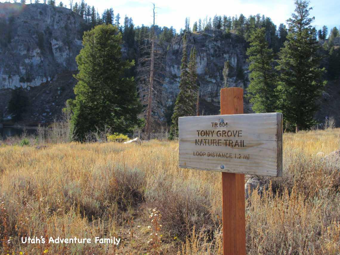 Hiking Paradise: Tony Grove Trail Hiking Paradise: Tony Grove Trail