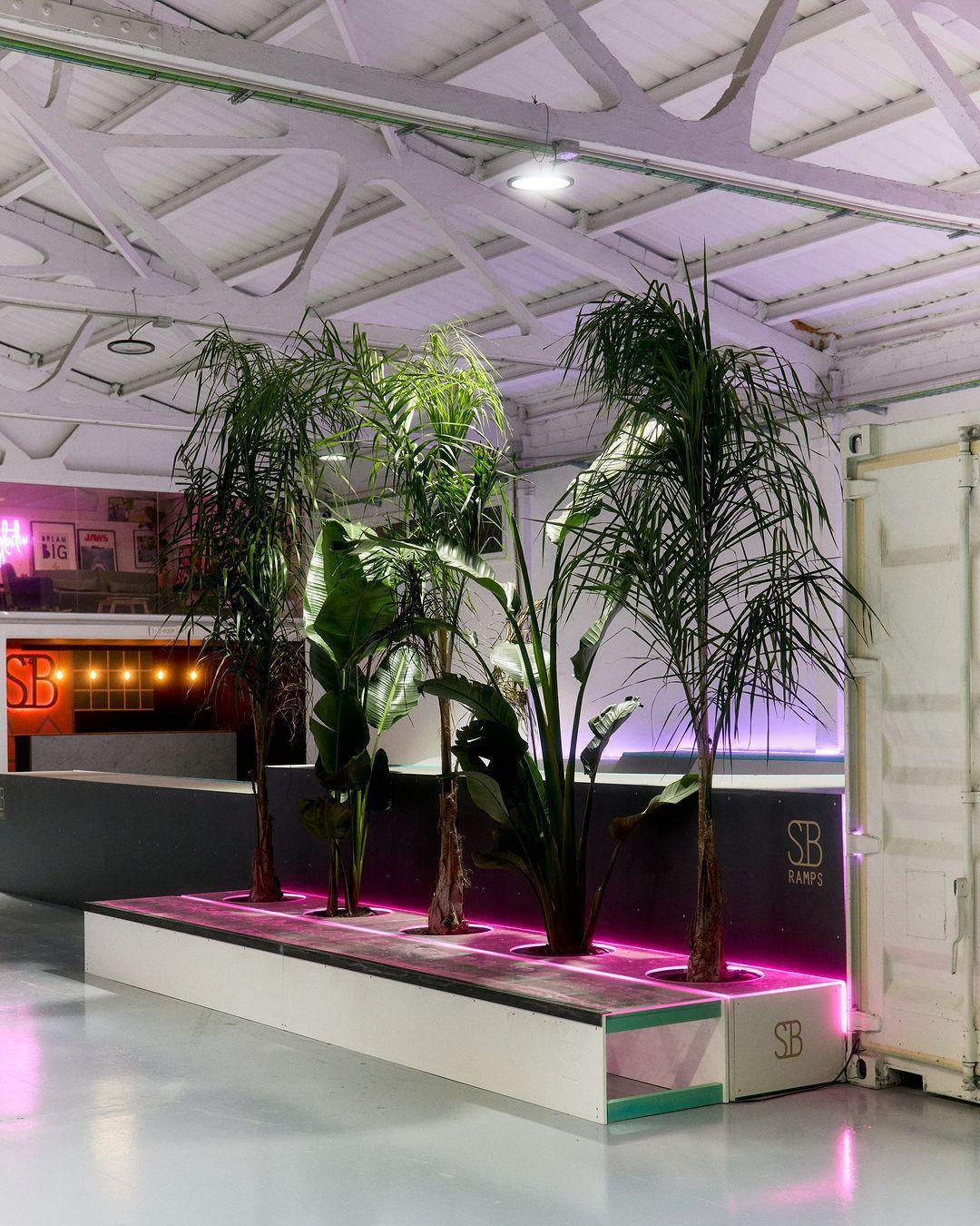 Nuevo Headquarter de SB Ramps Nuevo Headquarter de SB Ramps