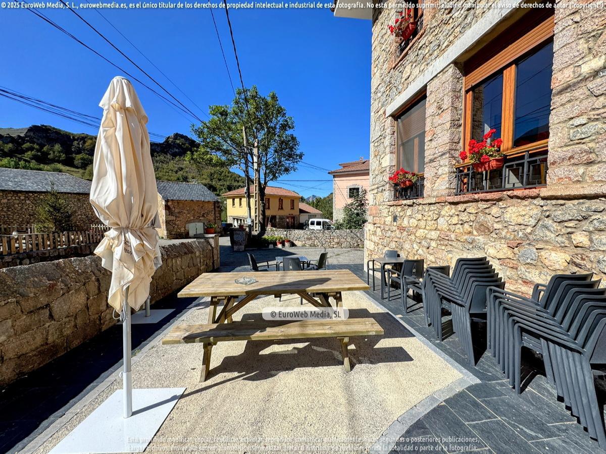 Terraza