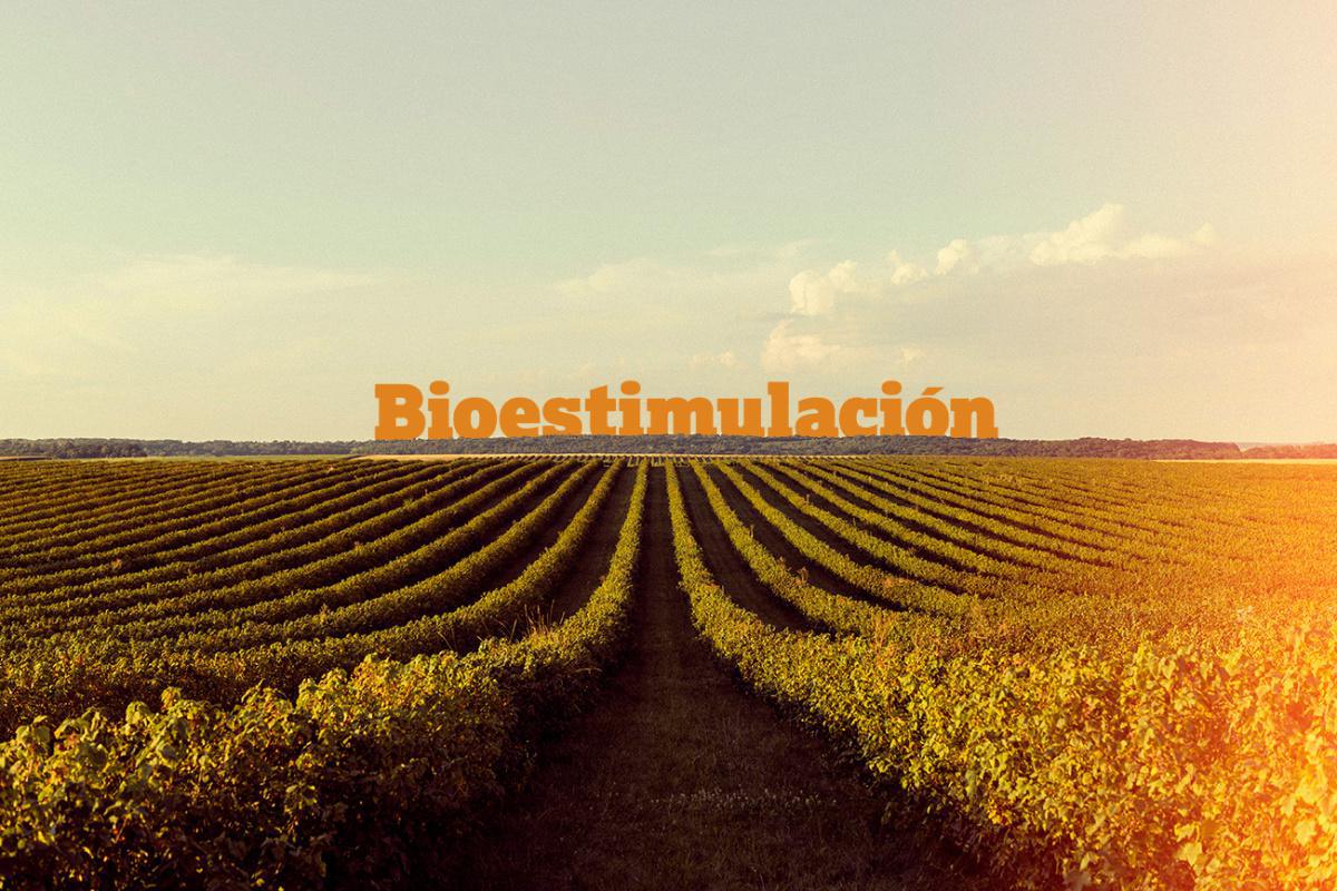 Bioestimulación como respuesta