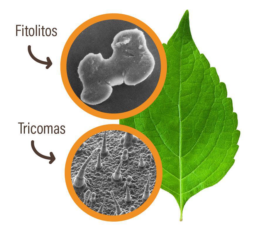 Prevención de daños por bajas temperaturas