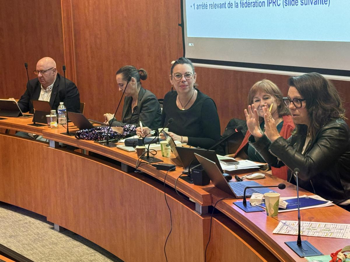 Conseil syndical du 12 avril : Intervention de la secrétaire nationale du secteur du dialogue social