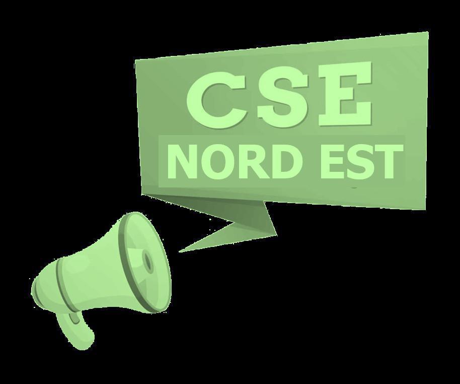 FLASH INFO CSE NORD EST MAI 2024