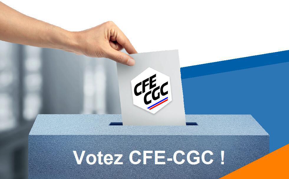 Elections 2025 - Profession de foi