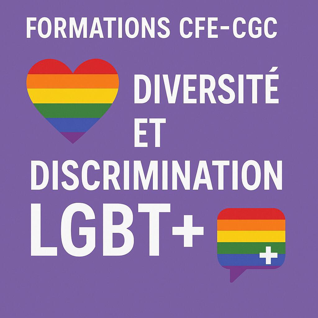 Formations : Diversité et discrimination LGBT+ Formations : Diversité et discrimination LGBT+