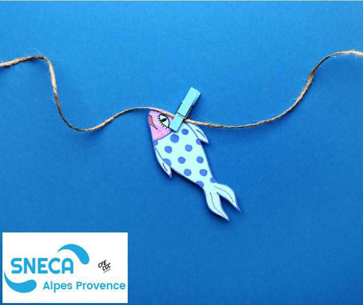 La SNECA se lance dans l’élevage La SNECA se lance dans l’élevage