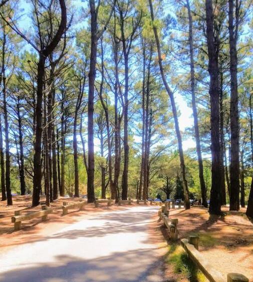 🚴♂️20km Boucle de Carnac – Plage de Saint-Colomban- Trinité sur mer 🚴♂️20km Boucle de Carnac – Plage de Saint-Colomban- Trinité sur mer