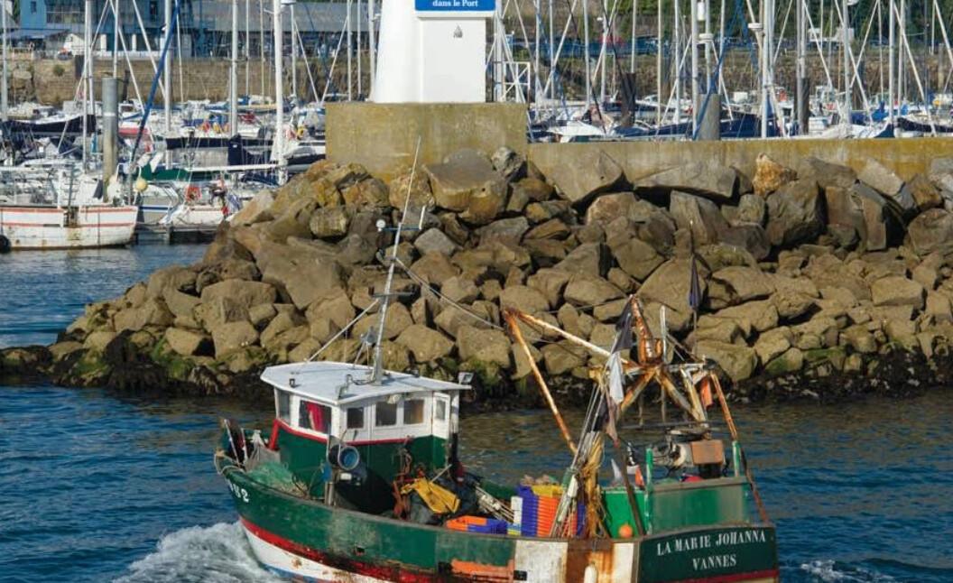 🚴‍♂️ 24Km Boucle de Quiberon – Menhirs, plages et côte sauvage