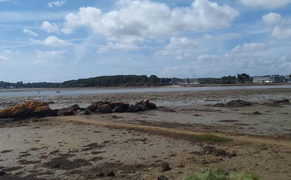 🚴♂️30 km Boucle nature de Vannes à Séné – Marais, patrimoine et bord de mer 🚴♂️30 km Boucle nature de Vannes à Séné – Marais, patrimoine et bord de mer