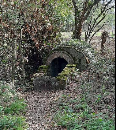 🚴♂️30 km Boucle nature de Vannes à Séné – Marais, patrimoine et bord de mer 🚴♂️30 km Boucle nature de Vannes à Séné – Marais, patrimoine et bord de mer