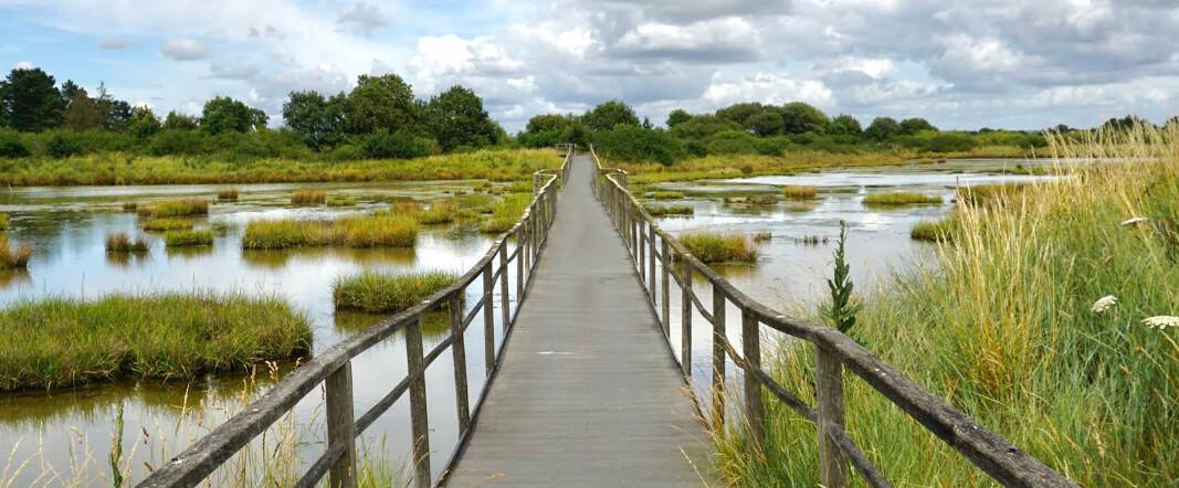 🚴‍♂️30 km Boucle nature de Vannes à Séné – Marais, patrimoine et bord de mer