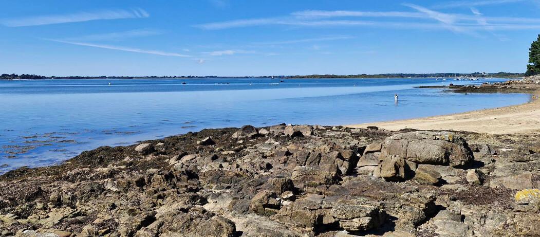 🚴♂️30 km Boucle nature de Vannes à Séné – Marais, patrimoine et bord de mer 🚴♂️30 km Boucle nature de Vannes à Séné – Marais, patrimoine et bord de mer