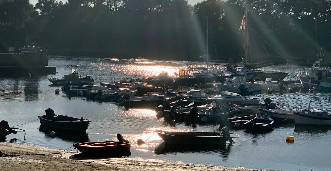 🚴♂️30 km Boucle nature de Vannes à Séné – Marais, patrimoine et bord de mer 🚴♂️30 km Boucle nature de Vannes à Séné – Marais, patrimoine et bord de mer