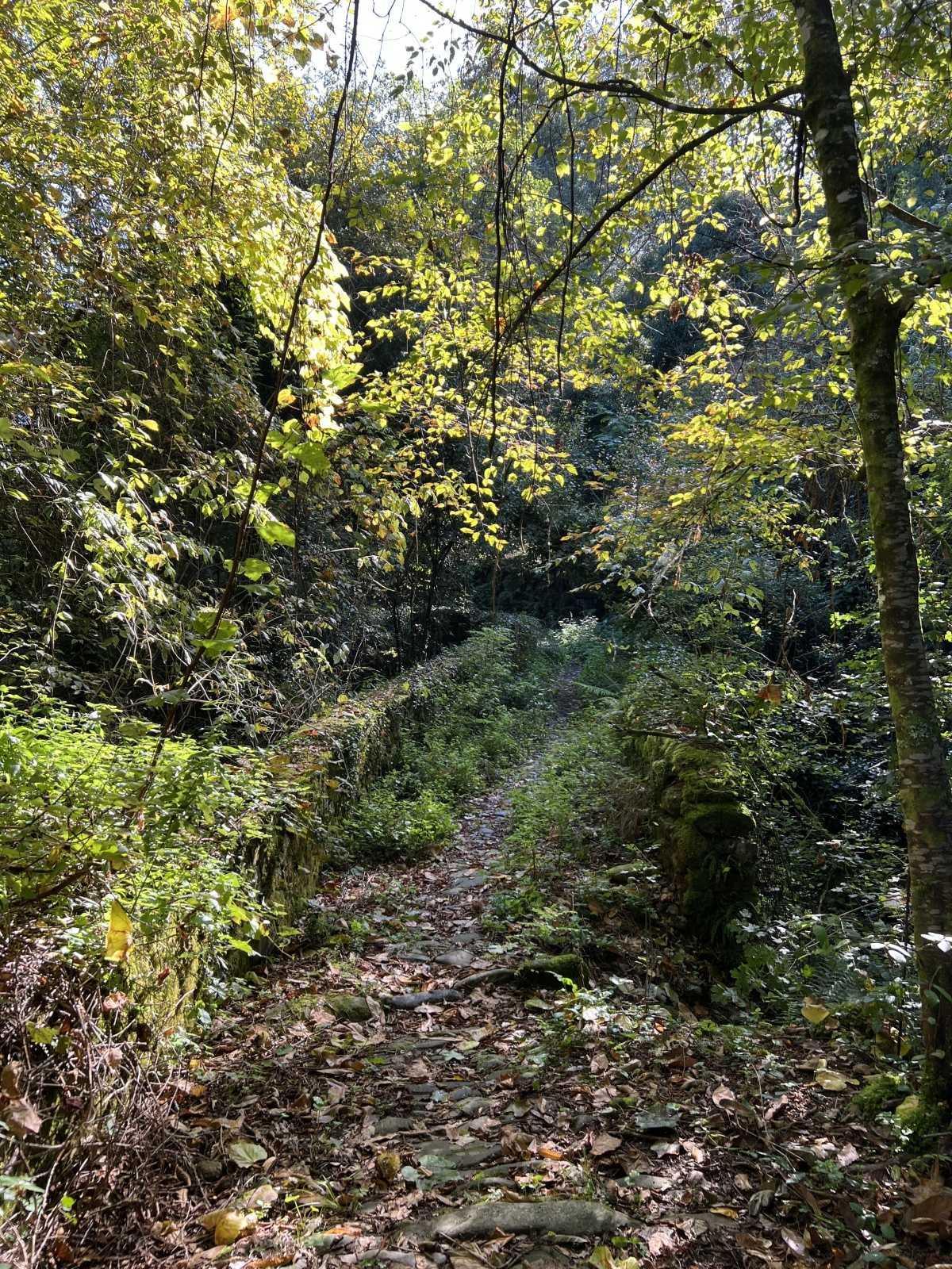 Ponti Romani - Roman Bridges