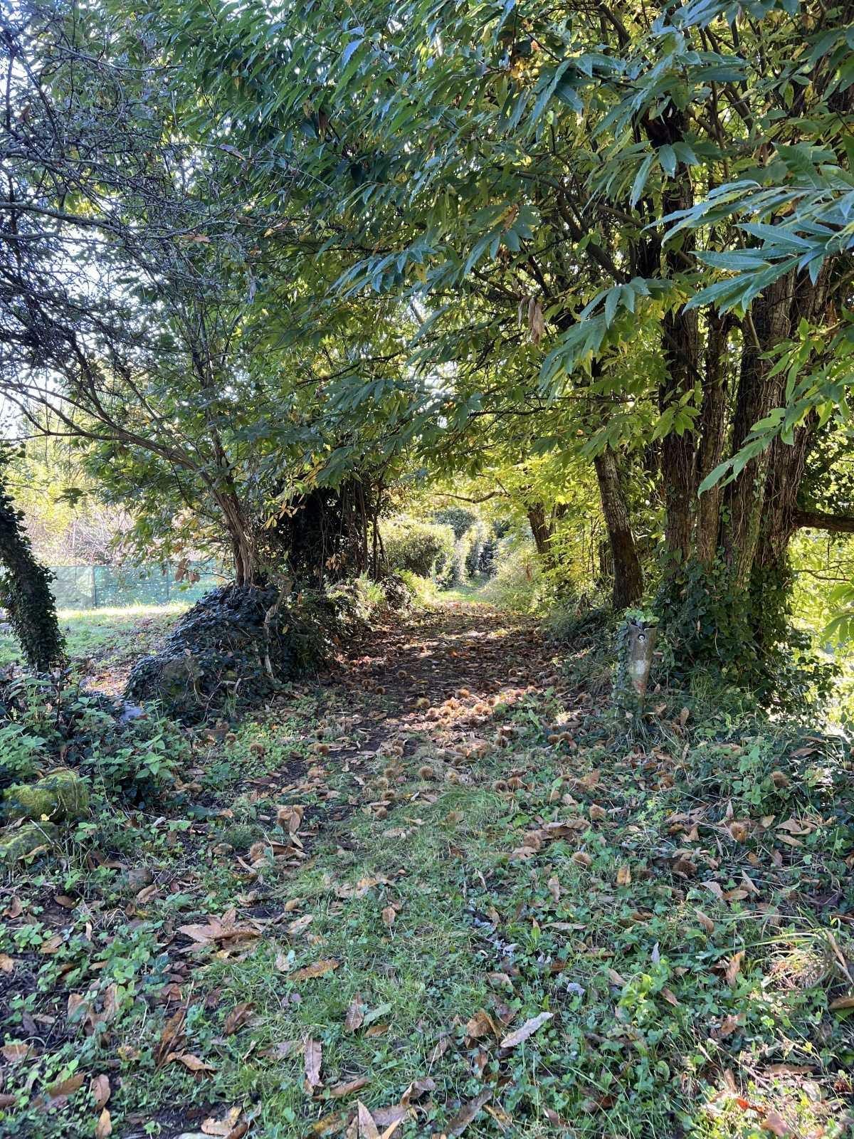 Ponti Romani - Roman Bridges