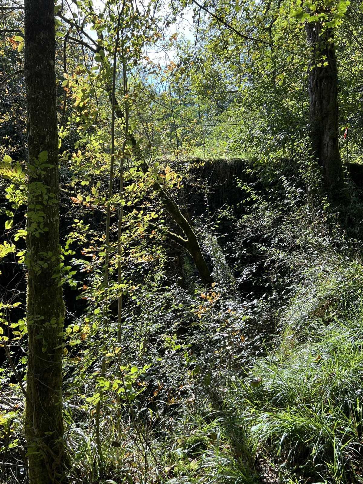 Ponti Romani - Roman Bridges