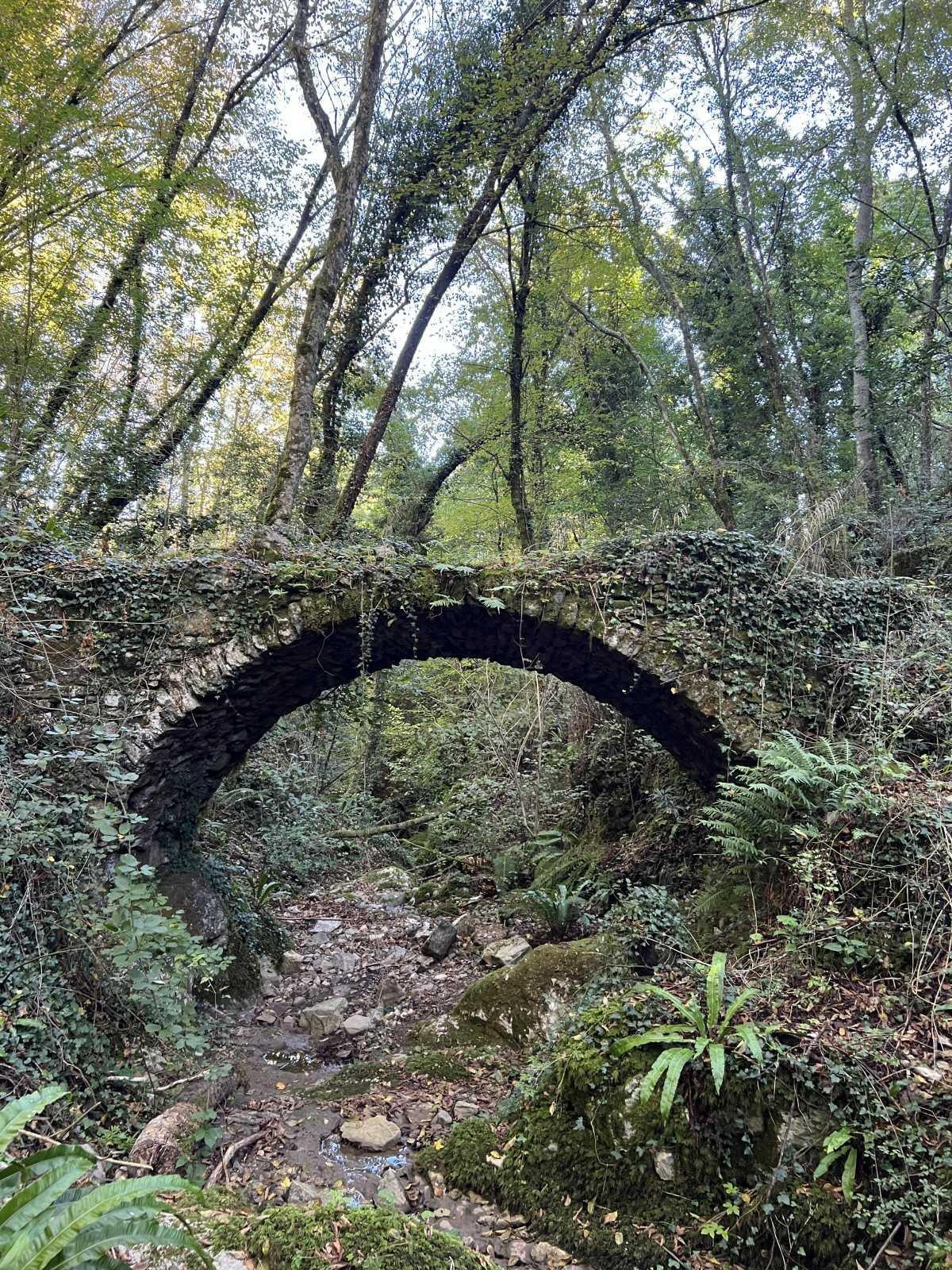 Ponti Romani - Roman Bridges