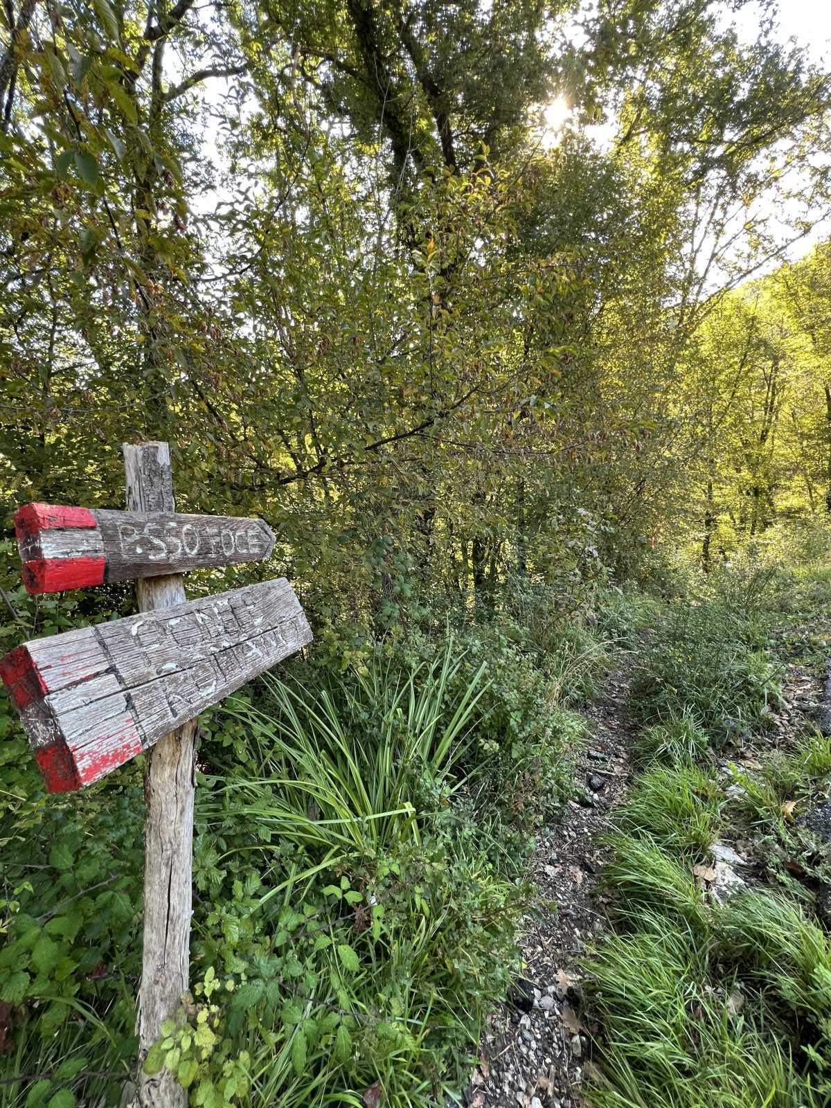 I sentieri di Riccò del Golfo, porta naturale tra l’Appennino e le Cinque Terre