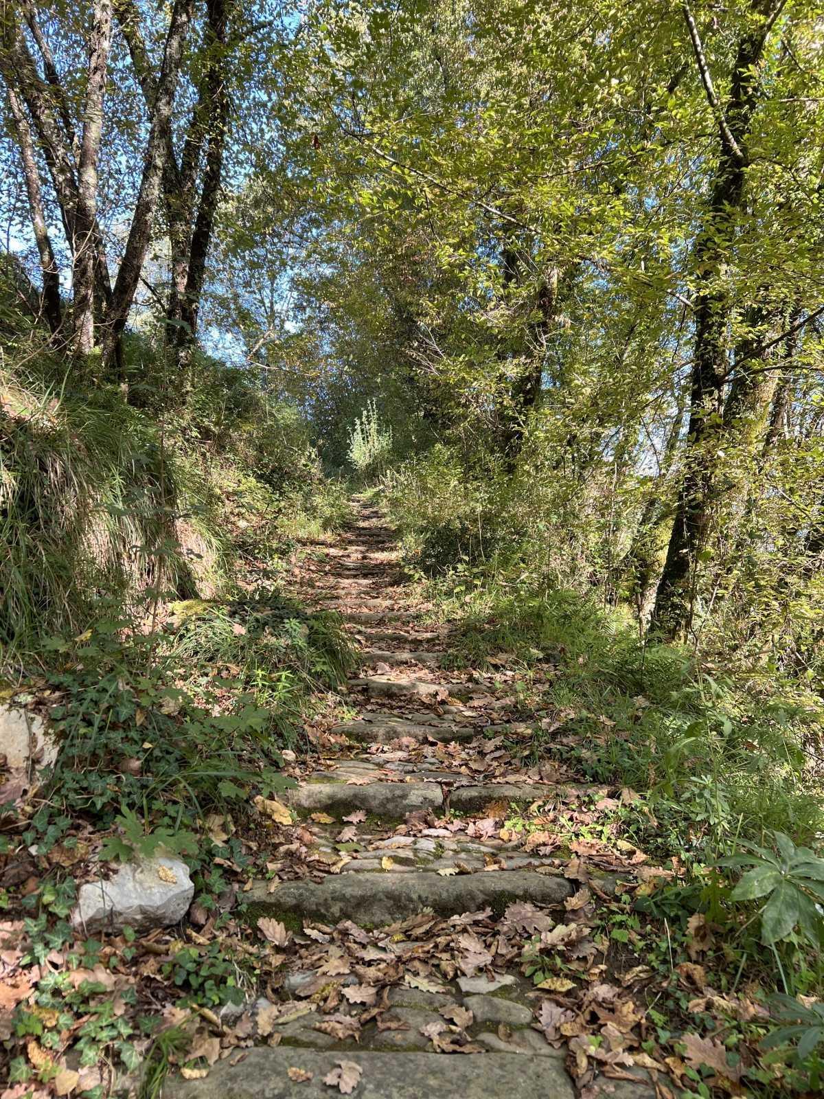 I sentieri di Riccò del Golfo, porta naturale tra l’Appennino e le Cinque Terre I sentieri di Riccò del Golfo, porta naturale tra l’Appennino e le Cinque Terre