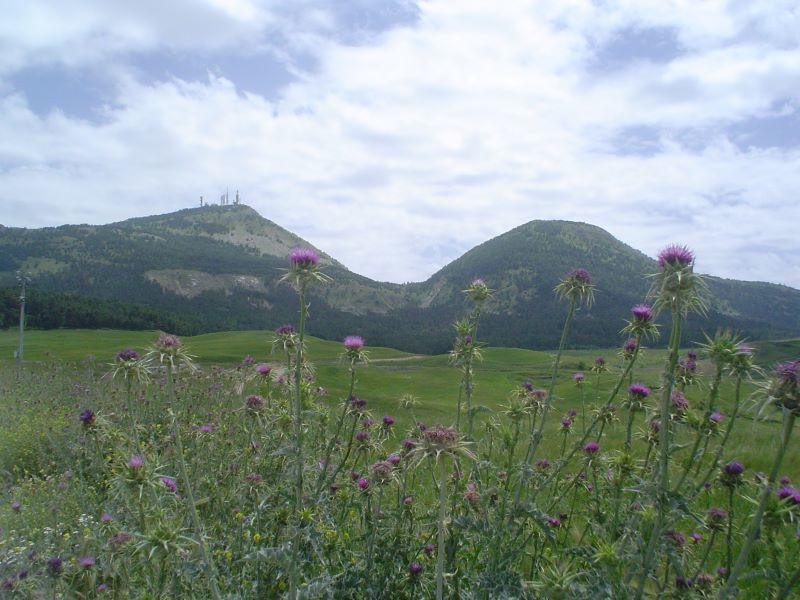 I Sentieri - The Trails