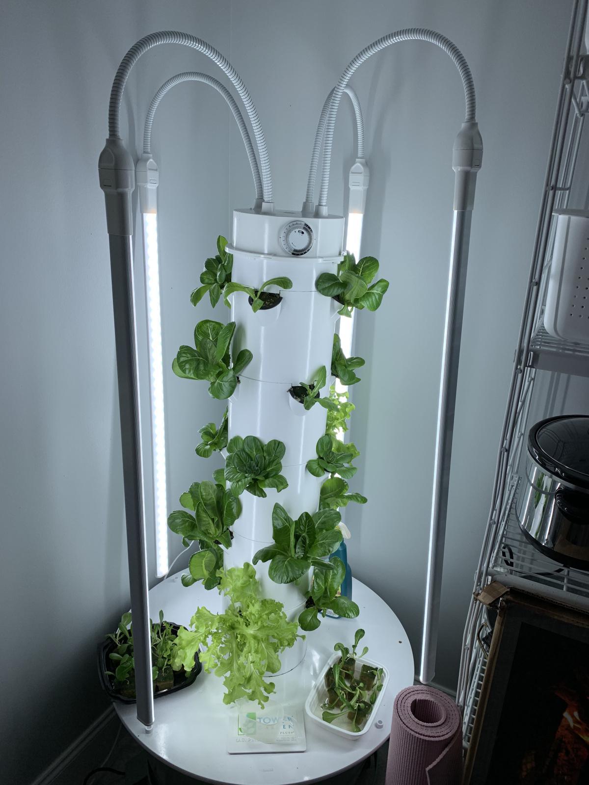 Grow Gourmet Tasting Food With This... Indoor or Outdoor