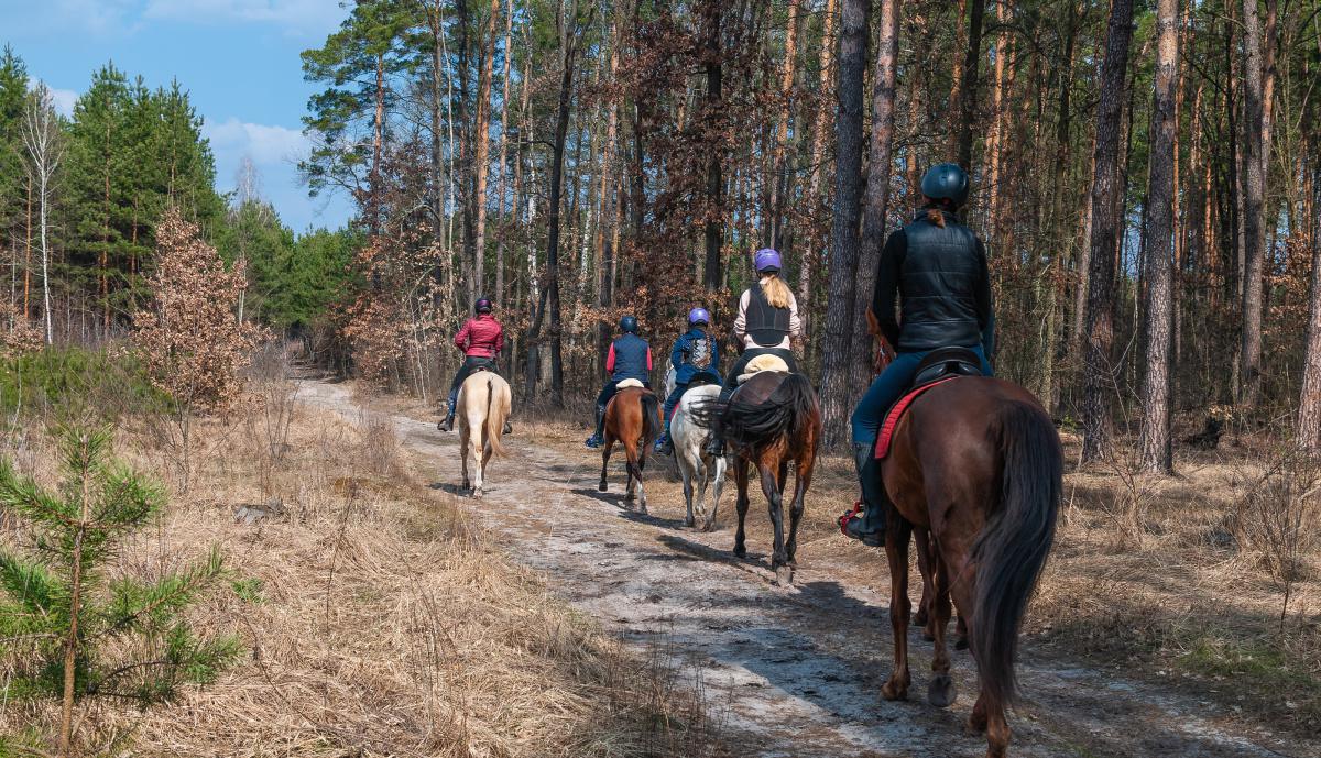Activités nature Activités nature