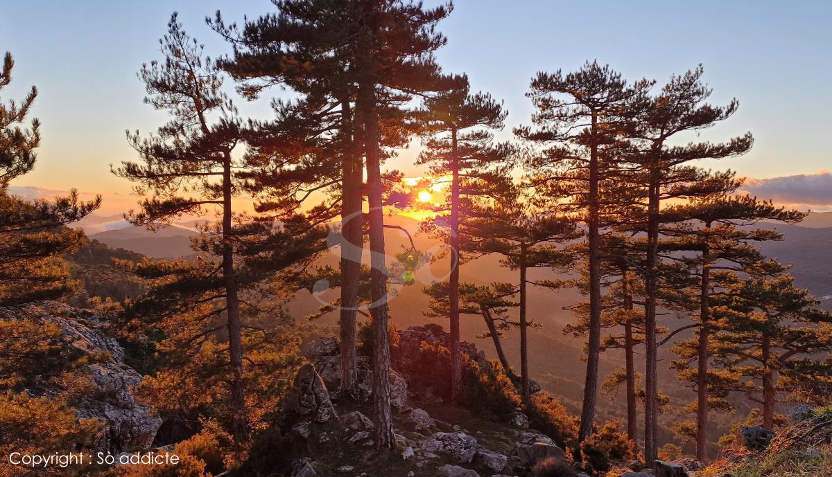 Aiguilles de Bavella Aiguilles de Bavella