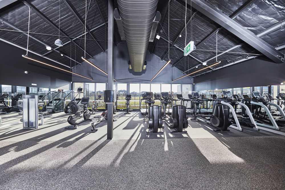 Gymnasium