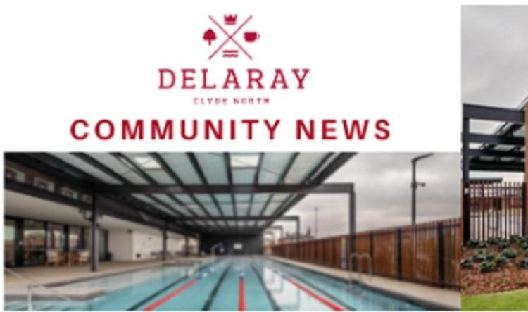 Delaray Community - Your November update is here!