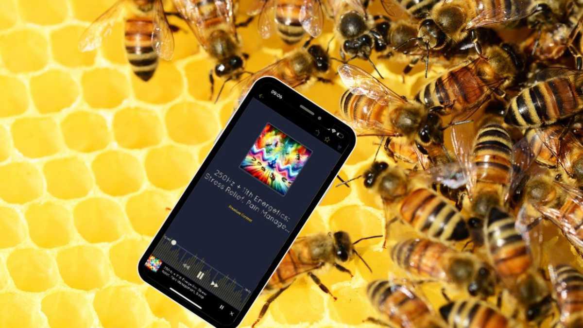 Revolutionizing our Well-Being and Bee pollination : The 250 Hertz Harmony Wave with 11th Harmonics