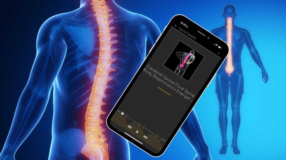 Exploring Frequencies for Spinal Cord Stimulation and Pain Relief