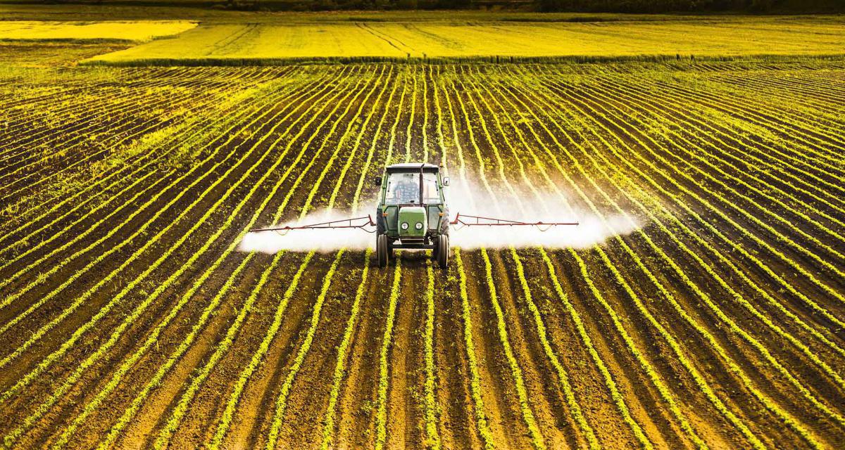 Glyphosate: Unveiling the Potential Health Risks of a Controversial Herbicide Glyphosate: Unveiling the Potential Health Risks of a Controversial Herbicide