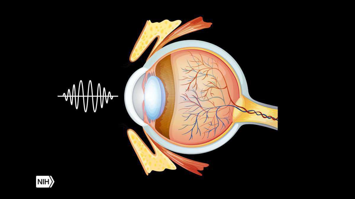 Eye Health and Frequency Healing: A Natural Approach to Vision Care Eye Health and Frequency Healing: A Natural Approach to Vision Care