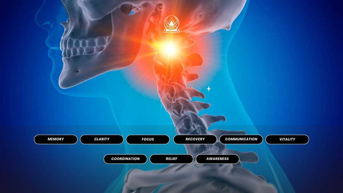 Atlas C1 Brain, Nervous System, Memory Advanced Energetics