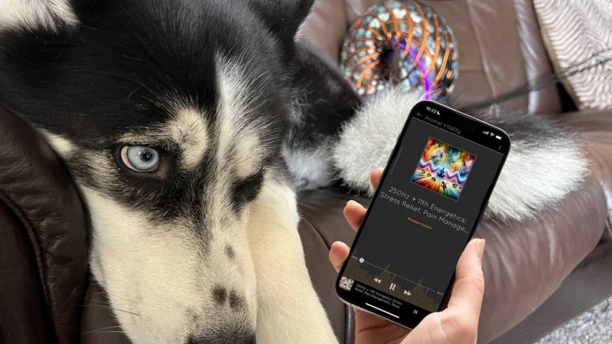 Why All Frequencies Work for Humans, Pets, Plants, Food, and Water: The Universal Biofield Explained