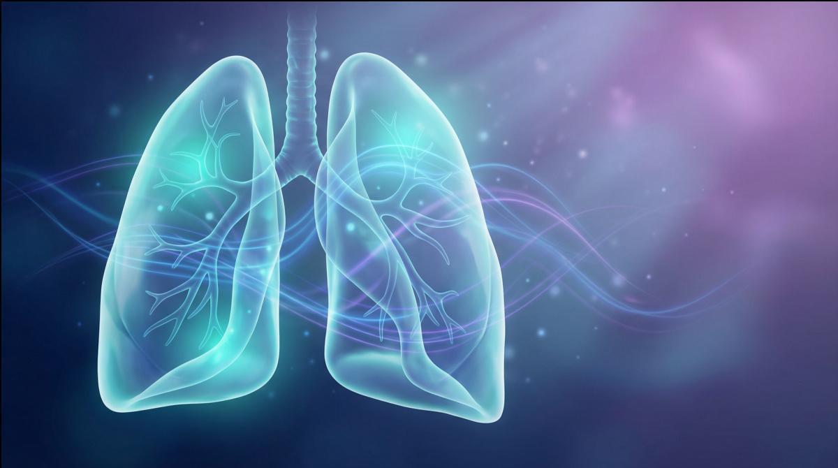 A Breakthrough in COPD Energetics: The 5-Phase Protocol That Re-Awakens Your Body's Natural Lung-Clearing Rhythm A Breakthrough in COPD Energetics: The 5-Phase Protocol That Re-Awakens Your Body's Natural Lung-Clearing Rhythm