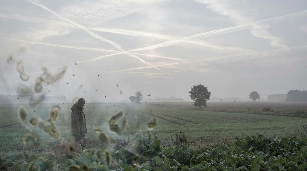 32X CAFL Detox: Chemtrail Metals & Mycoplasma, Why Rife Frequencies Stop Working