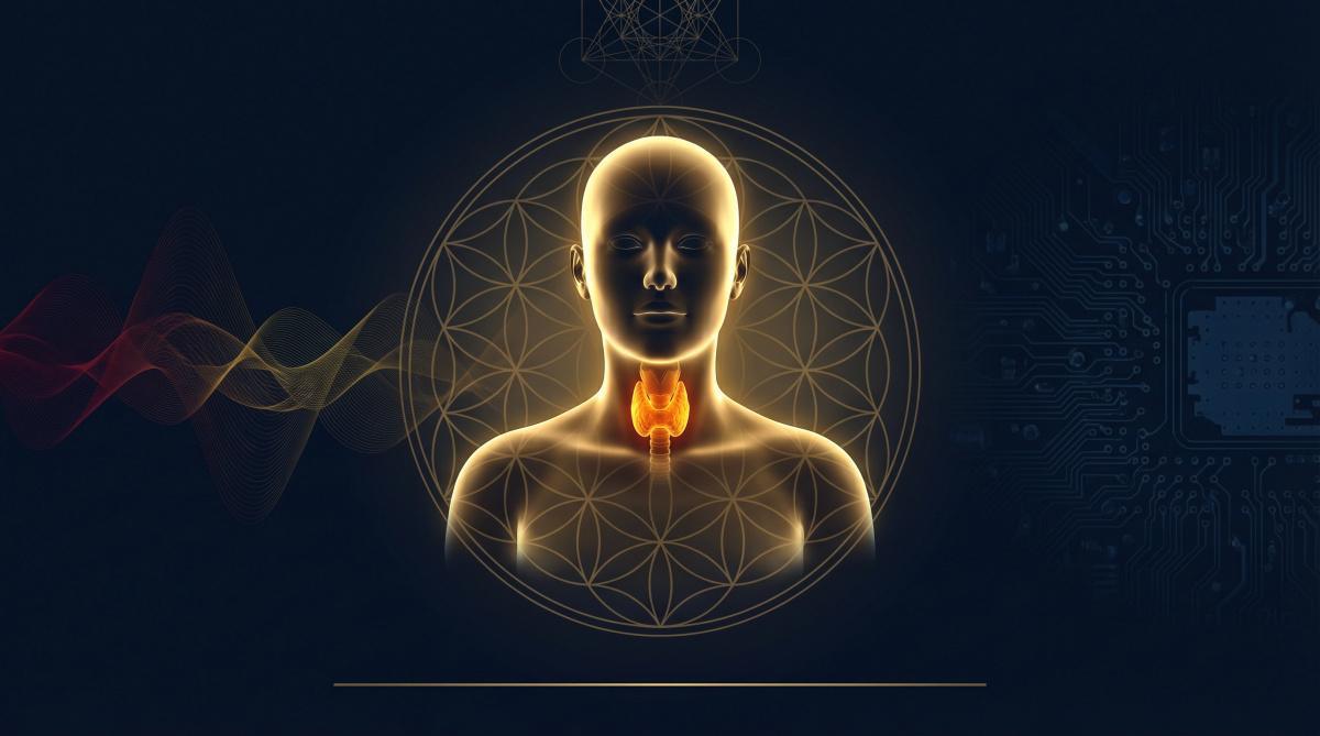 Thyroid Reset & Metabolic Ignition: Why Your Hormones Went Quiet and the Bioelectric Protocol to Bring Them Back Thyroid Reset & Metabolic Ignition: Why Your Hormones Went Quiet and the Bioelectric Protocol to Bring Them Back