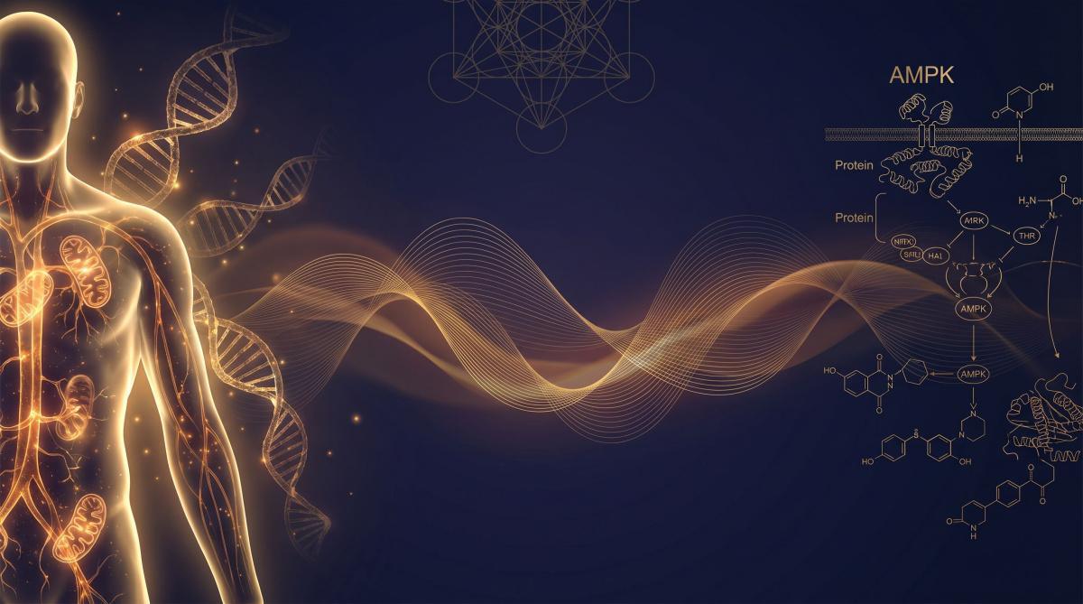 MOTS-c Mitochondrial Metabolic Longevity: The Bioelectric Peptide Protocol to Reverse Cellular Aging: Why Your Digestion is Frozen and the 7-Phase Bioelectric Protocol to Restore It MOTS-c Mitochondrial Metabolic Longevity: The Bioelectric Peptide Protocol to Reverse Cellular Aging: Why Your Digestion is Frozen and the 7-Phase Bioelectric Protocol to Restore It