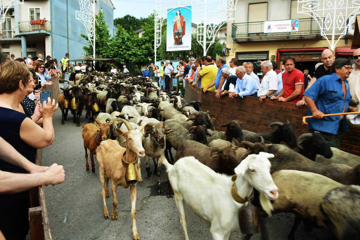 La Turniata La Turniata