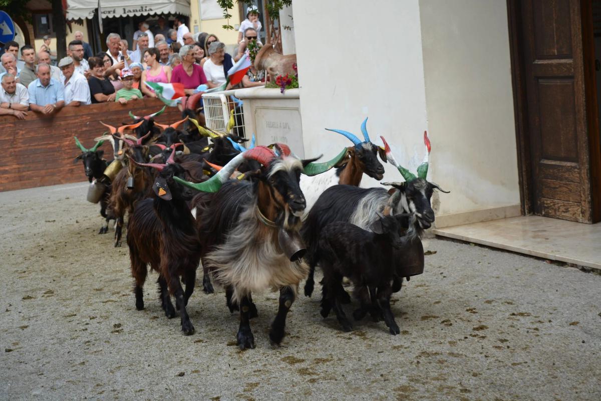 Una tradizione riconosciuta e salvaguardata Una tradizione riconosciuta e salvaguardata