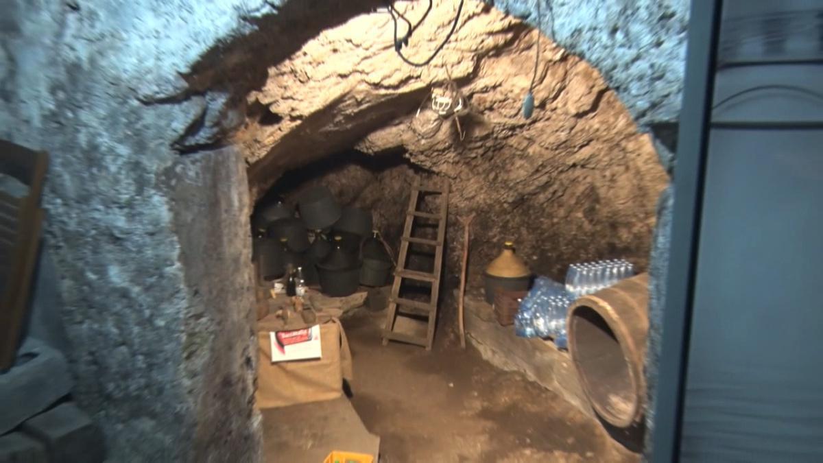 Baccanalia "Sagra di QualitĂ " Baccanalia "Sagra di QualitĂ "