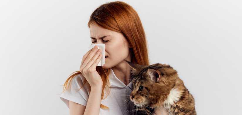Test Allergie pelo gatto-cane-acari, muffe e polveri Test Allergie pelo gatto-cane-acari, muffe e polveri