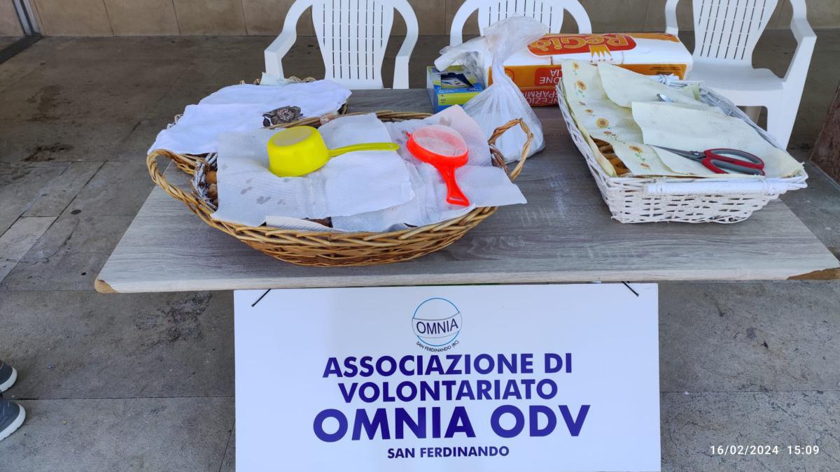 CARNEVALE DI SAN FERDINANDO CARNEVALE DI SAN FERDINANDO