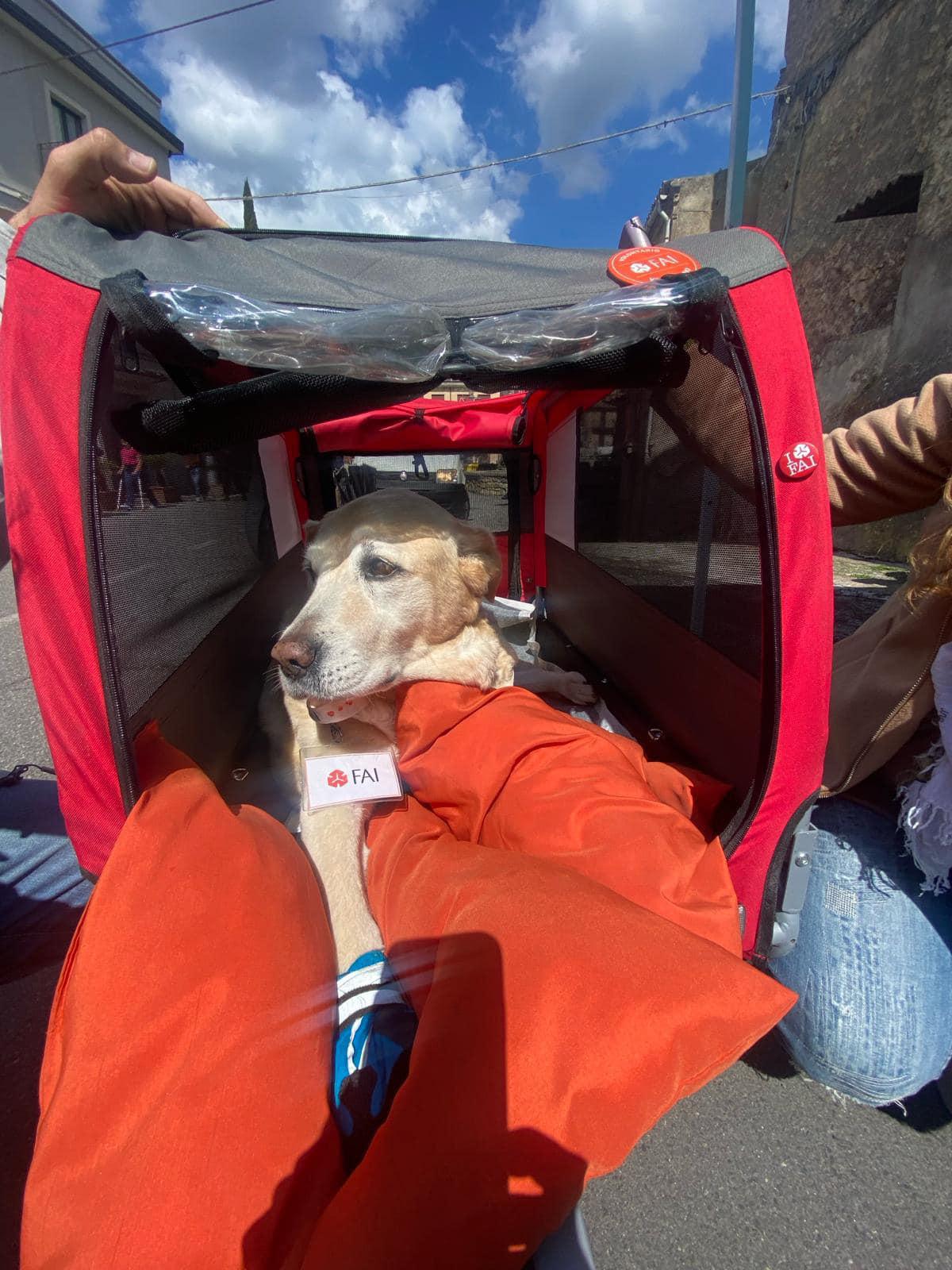 G I O R N A T E F A I G I O R N A T E F A I