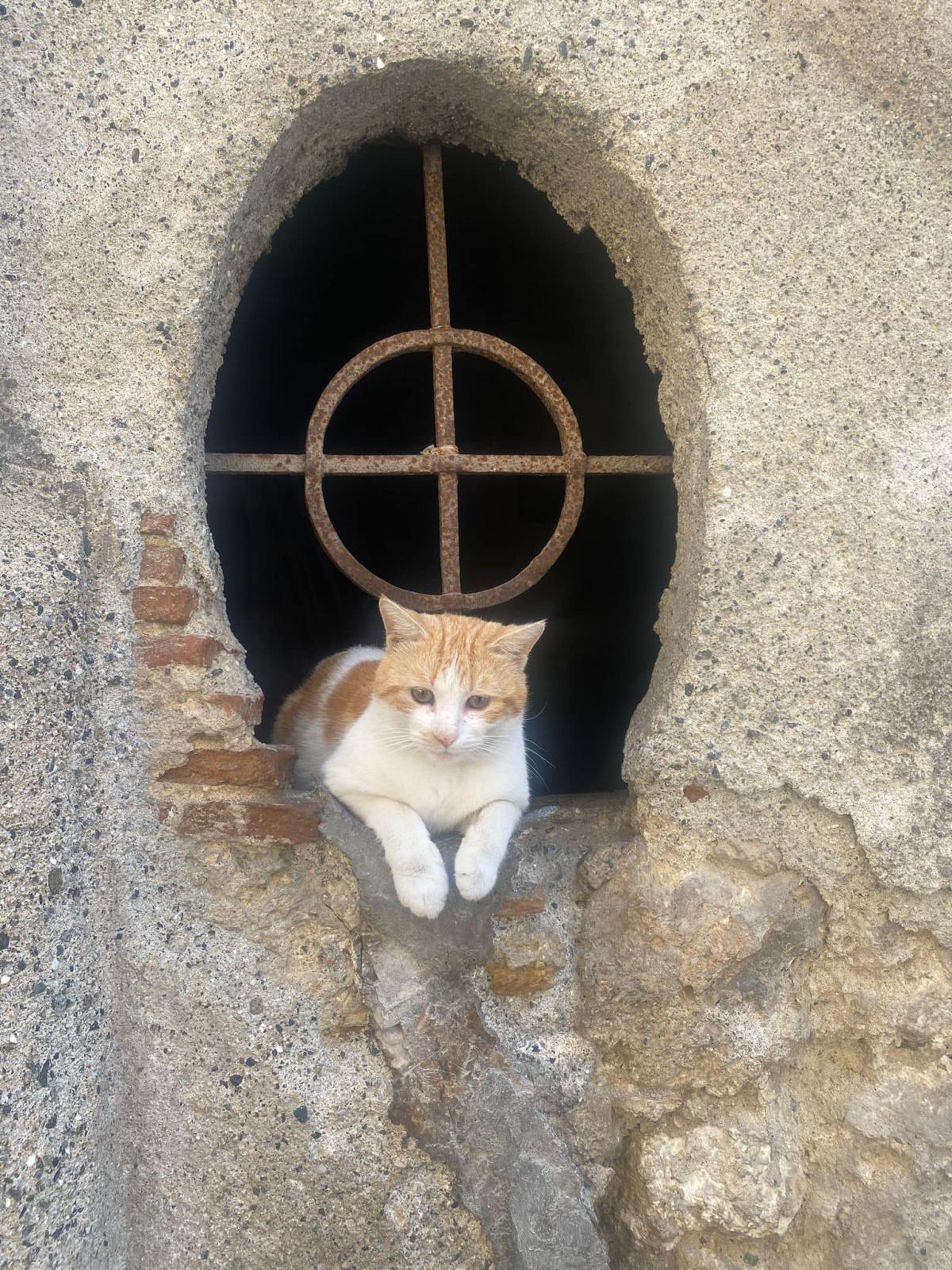 G I O R N A T E F A I G I O R N A T E F A I