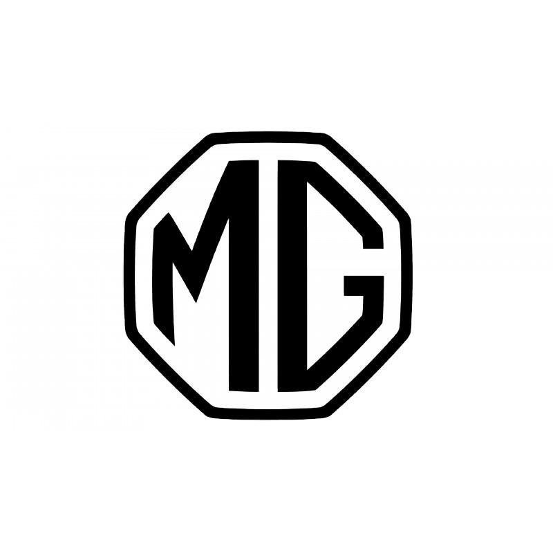 MG MOTOR