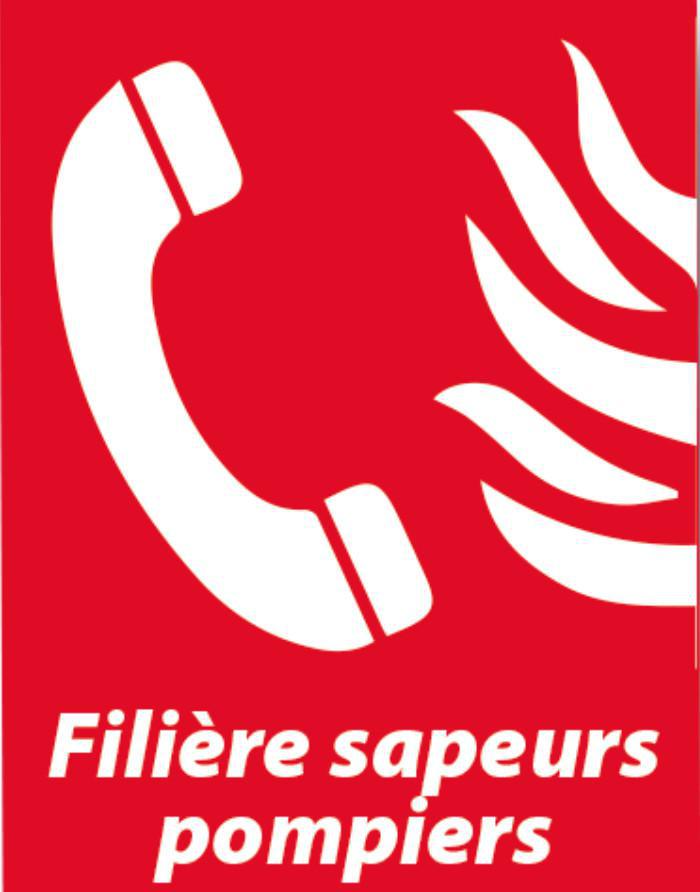  SOUS-OFFICIERS DE SAPEURS-POMPIERS PROFESSIONNELS