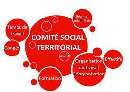 CST PROGRAMME LE 13 MARS 2025