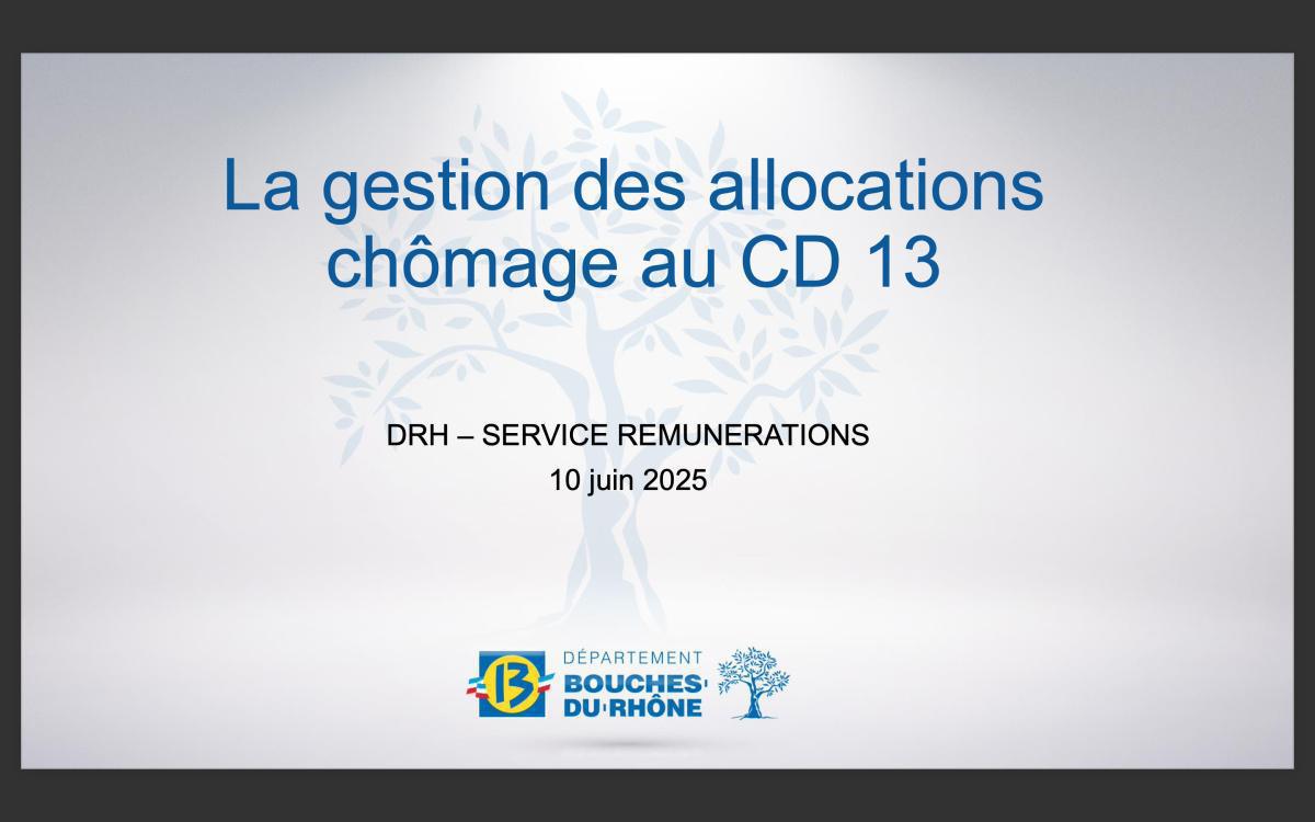 Retour sur la Présentation de la convention France Travail / CD13 Retour sur la Présentation de la convention France Travail / CD13